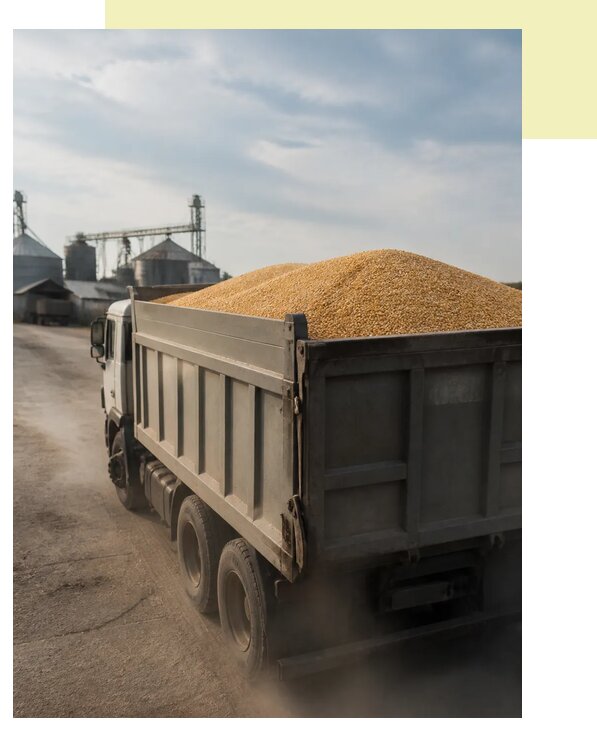 Перевозка сельхозпродукции навалом в Черняховск по цене от 3144 р. | Агросервис-Чрх